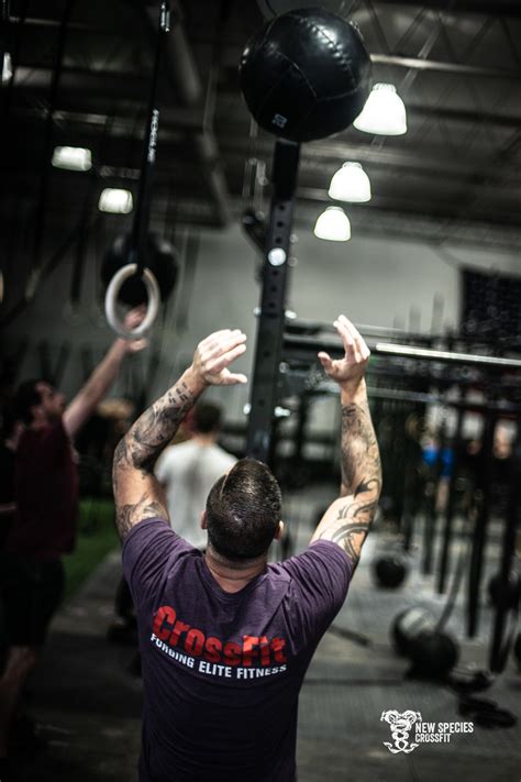 Midline Standing Teapot 24-24-24-24-24 Use the heaviest weight you can for each set. . New species crossfit